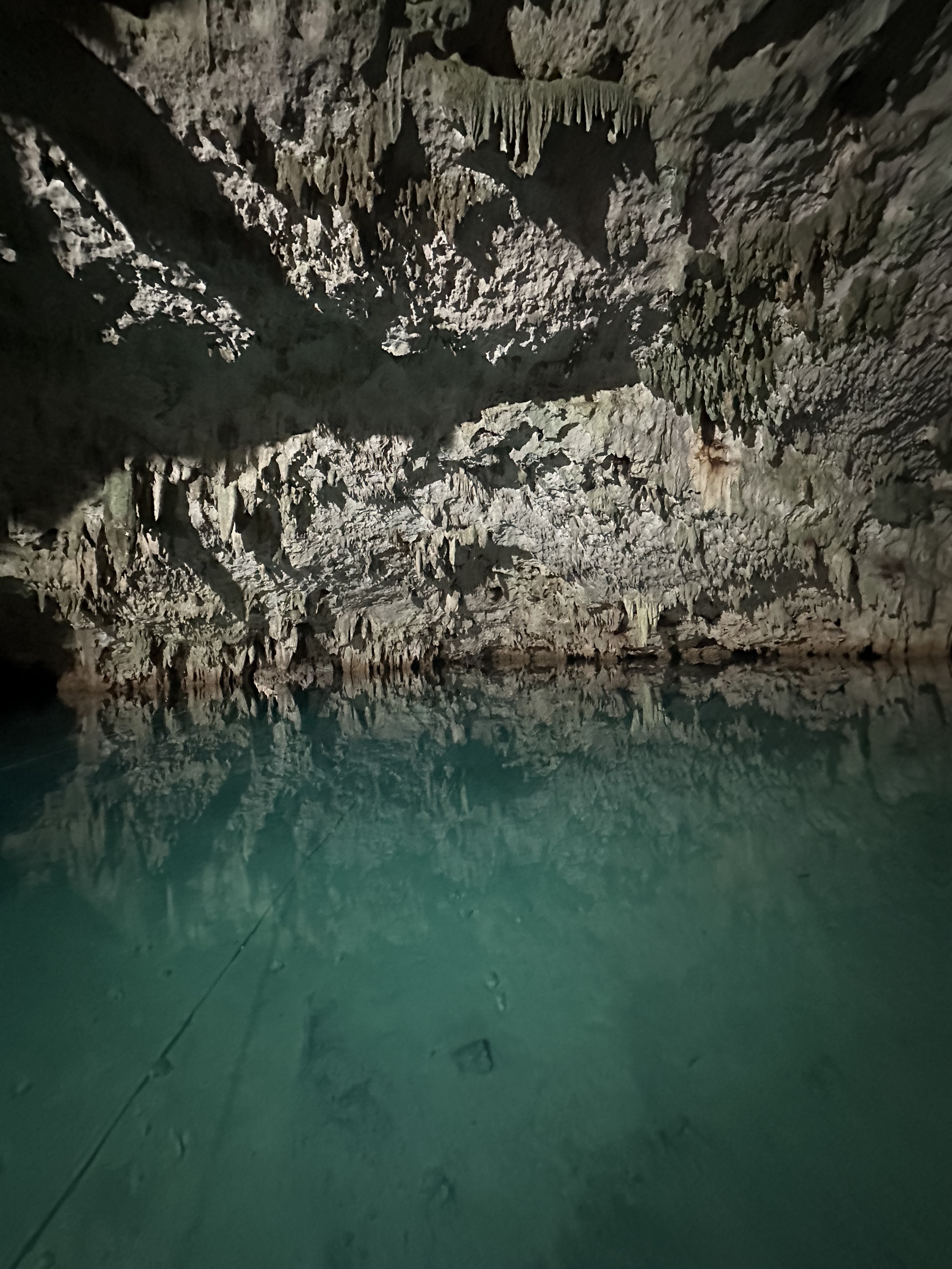 Inside a private cenote in the Riviera Maya, stalactites over still turquoise water
